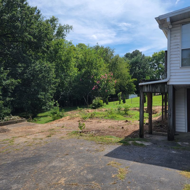 Deck and fence removal