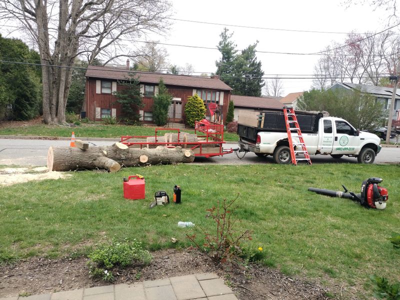 Landscaping gallery
