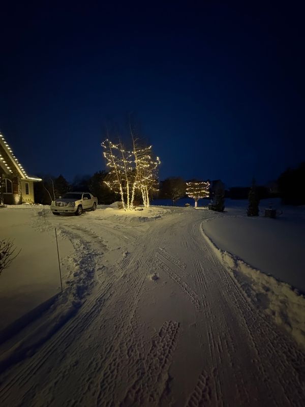 Landscape Lighting