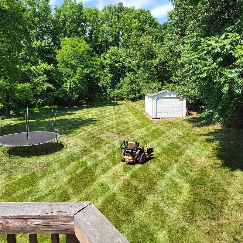 Lawn Maintenance