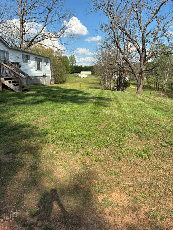 Lawn Maintenance