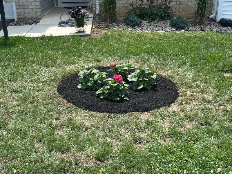 Landscape Design