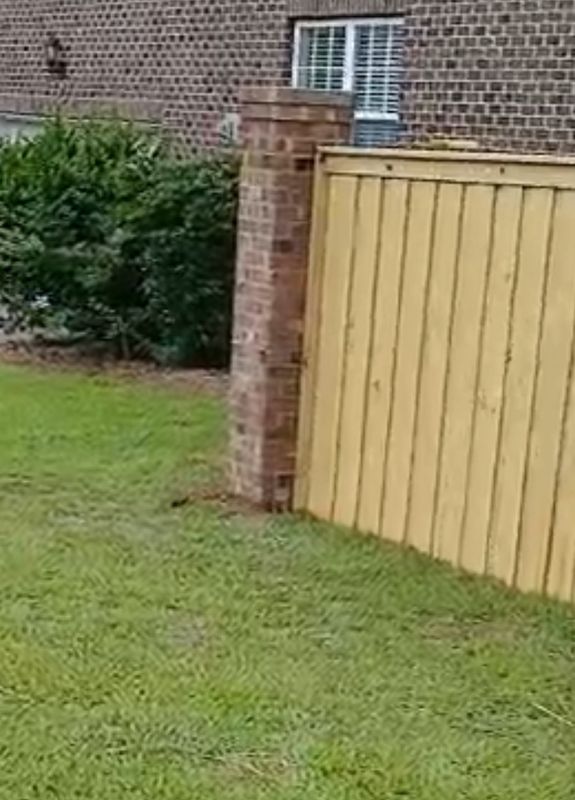 Fence Installation