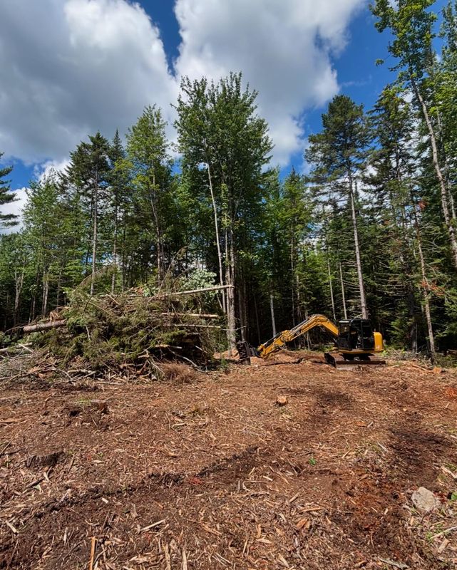 Forestry Mulching