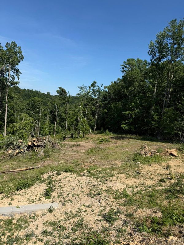 Land Clearing