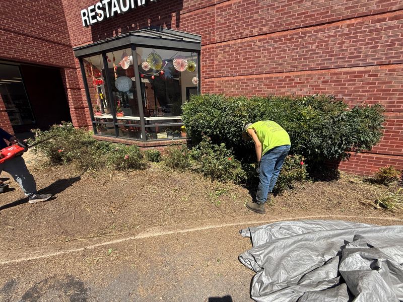 Shrub Trimming