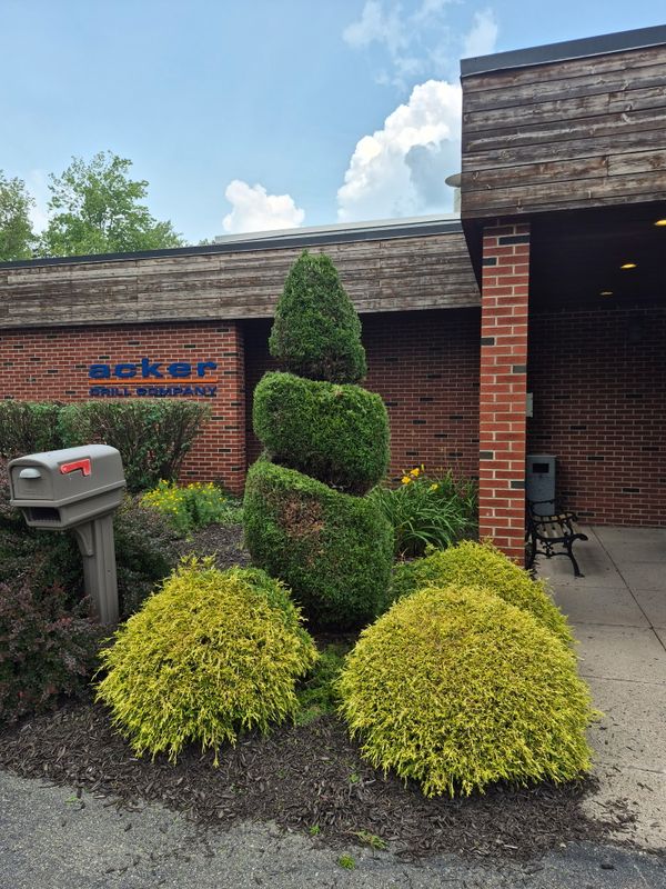 Tree & Shrub Care