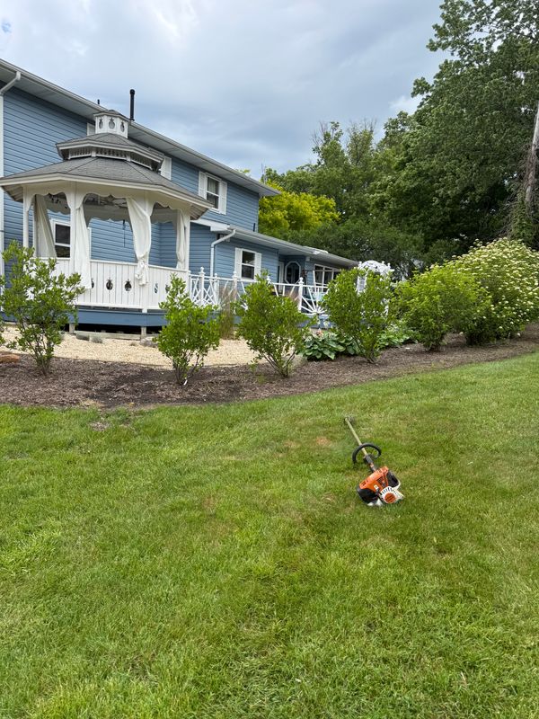 Tree & Shrub Care