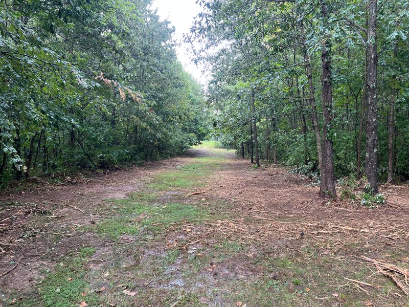 Forestry Mulching