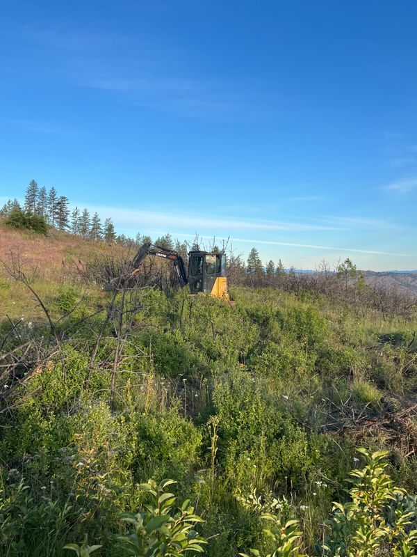 Land clearing 