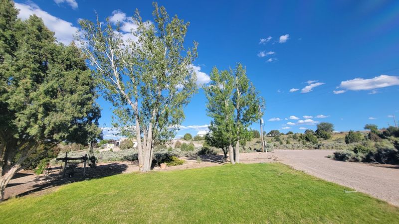 Tree Pruning
