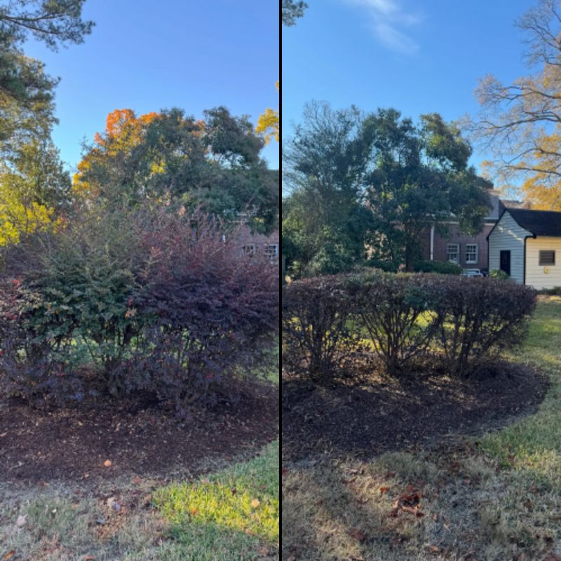 Mulch Installation