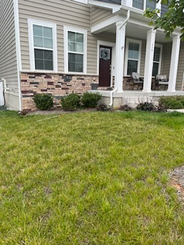 Lawn Care