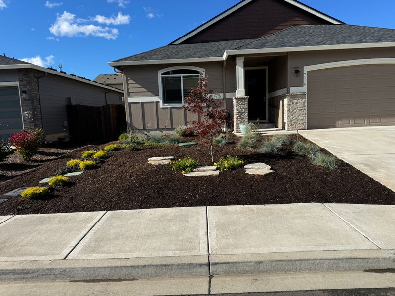 Shrub Trimming