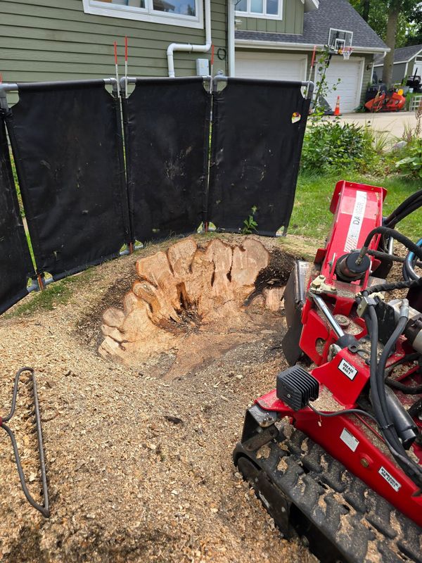Stump Grinding