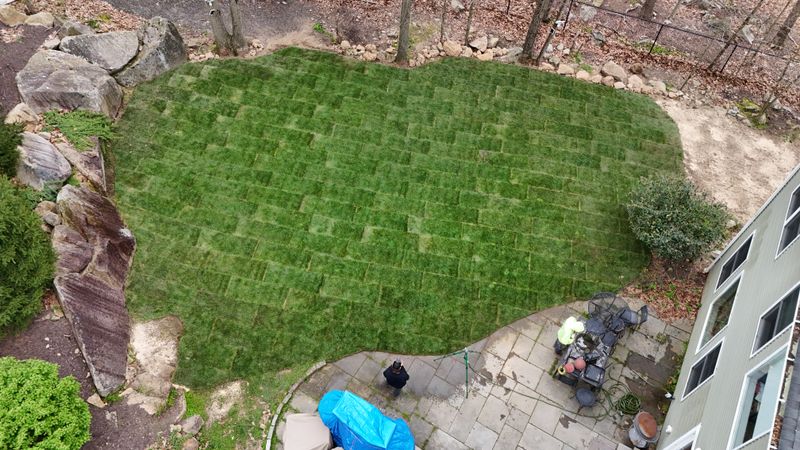 Plantings & Landscape Design