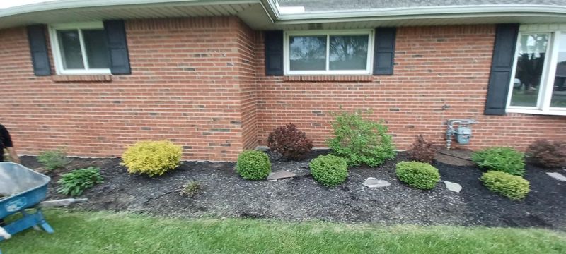 Shrub & Plant Installation Photos