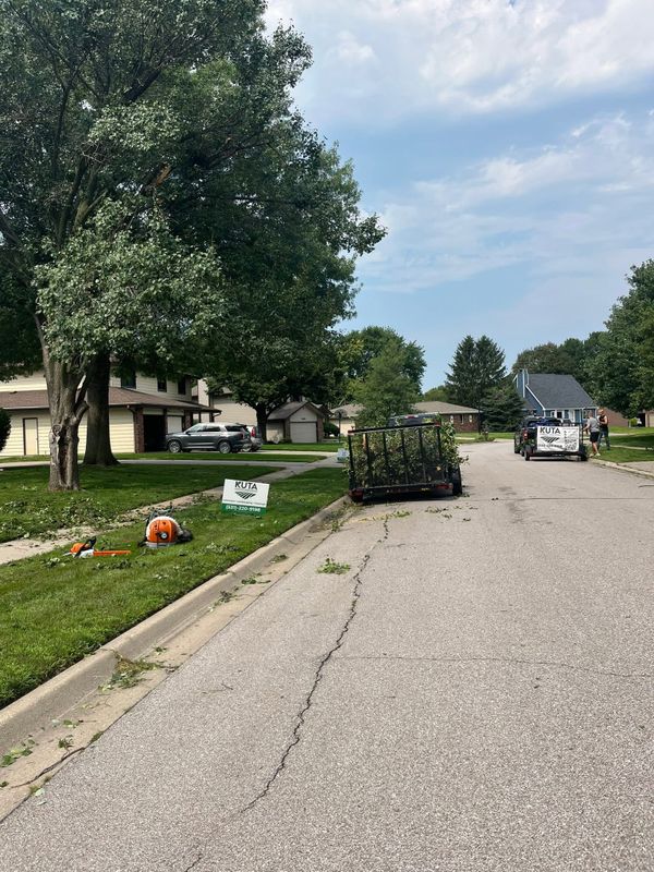 Lawn Maintenance