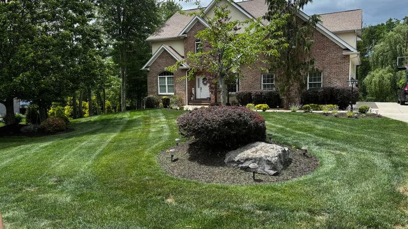 Tree & Shrub Care