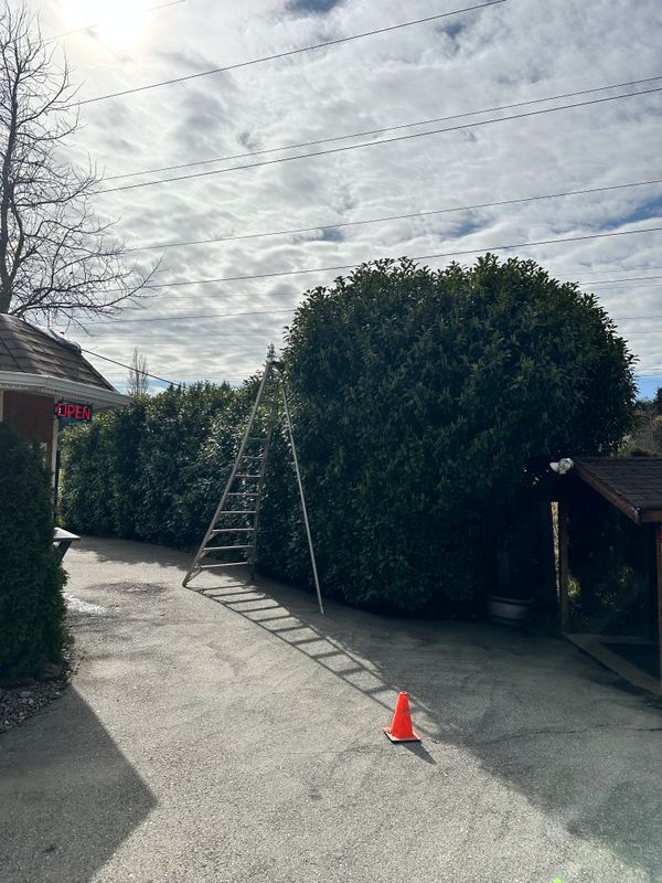 Landscape Maintenance