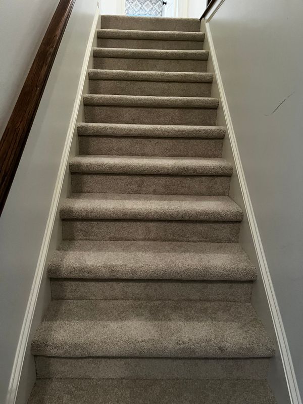 Carpet Installation and Repair