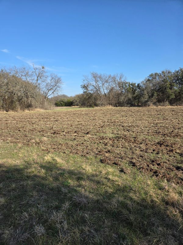 Heavy Duty Clearing and Underbrush Management
