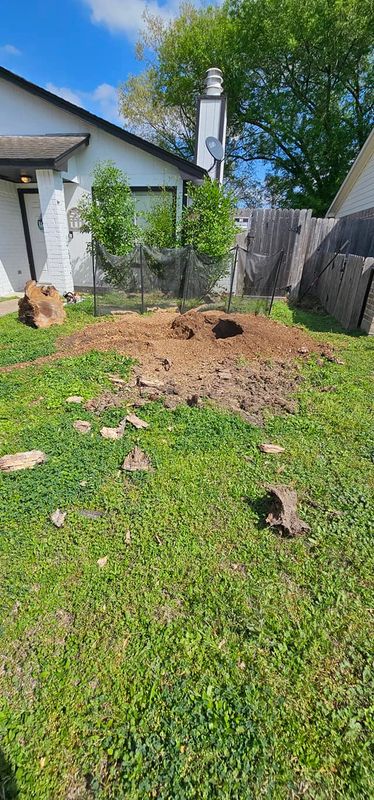 Tree Removal gallery