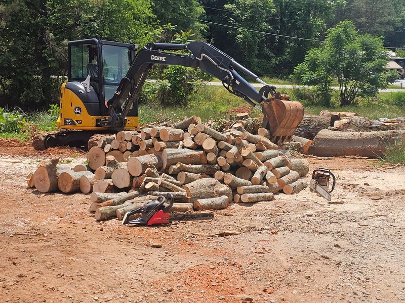 Debris Removal