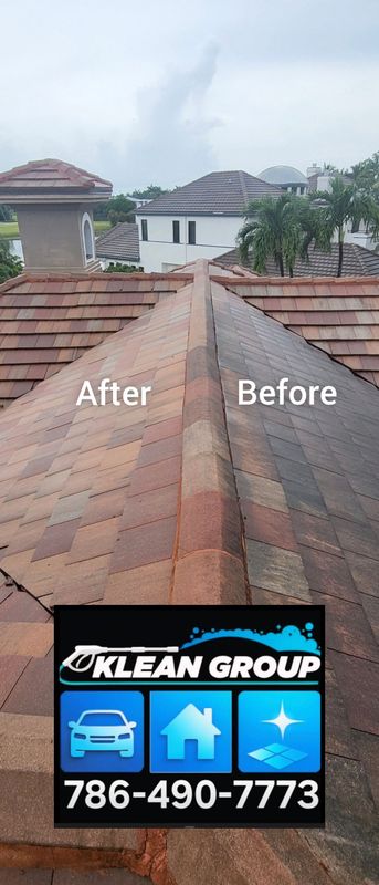 Roof and Gutter Cleaning