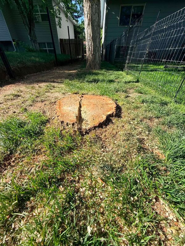 Stump Removal
