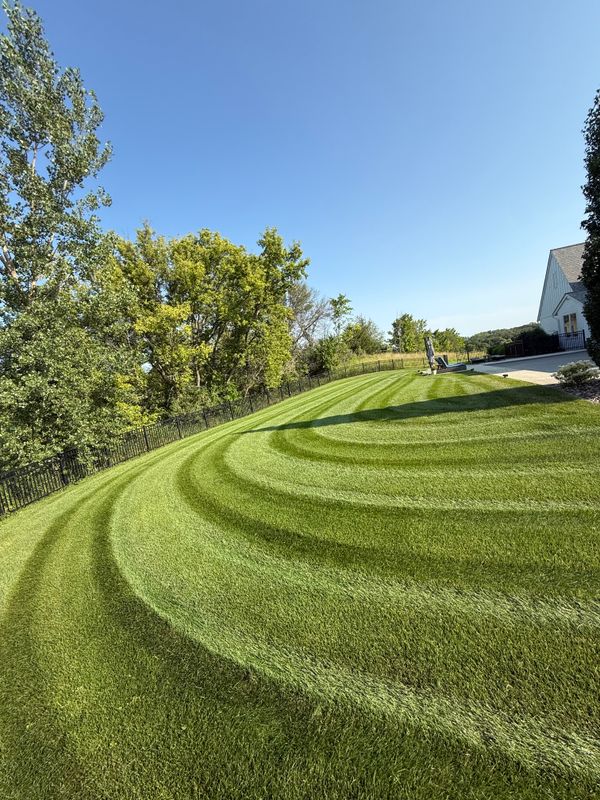 Lawn Maintenance