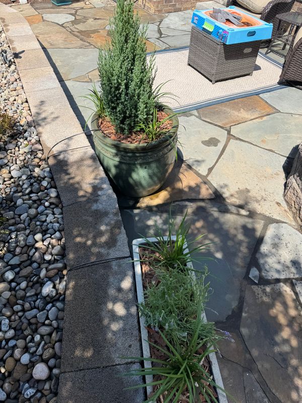 Planting