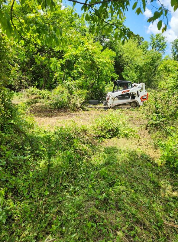 Land Clearing