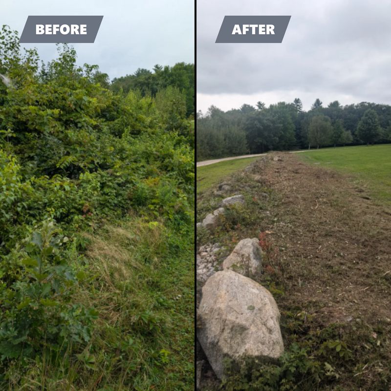 Brush Mowing And Forestry Mulching
