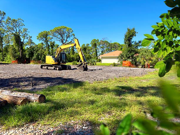 Land Clearing