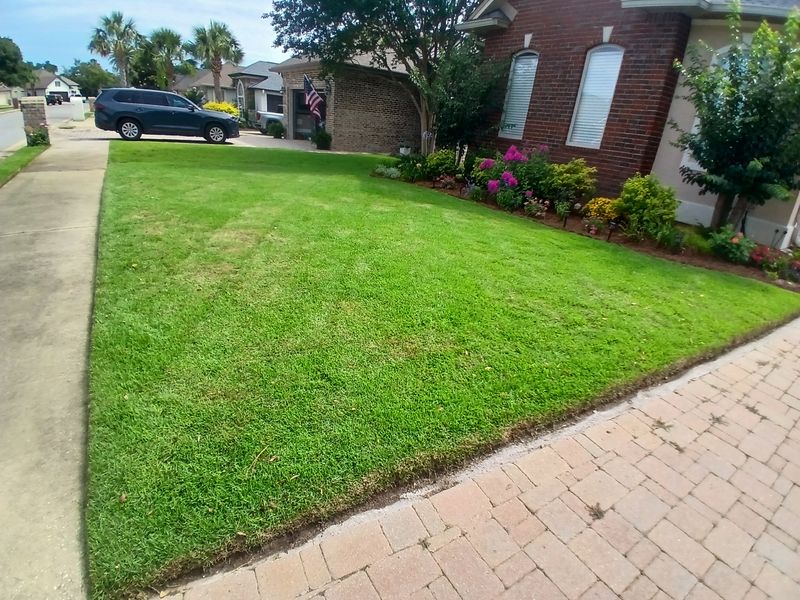 Lawn Maintenance