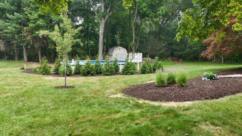 Privacy Plantings