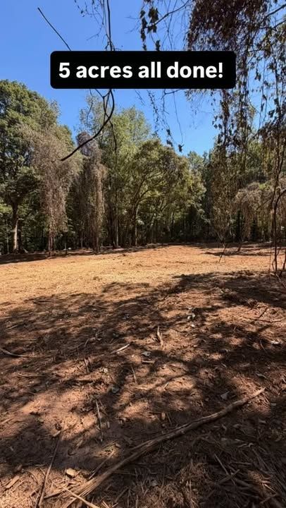 Land Clearing