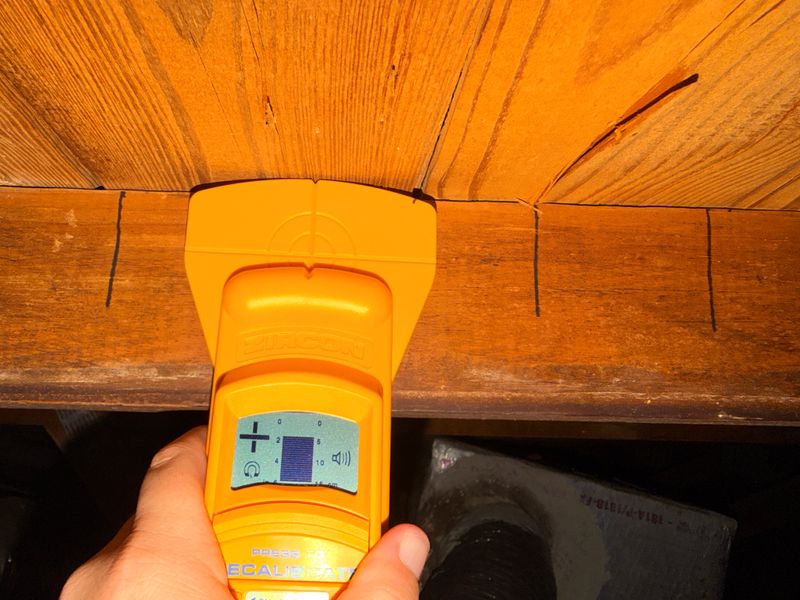 Mold Inspections
