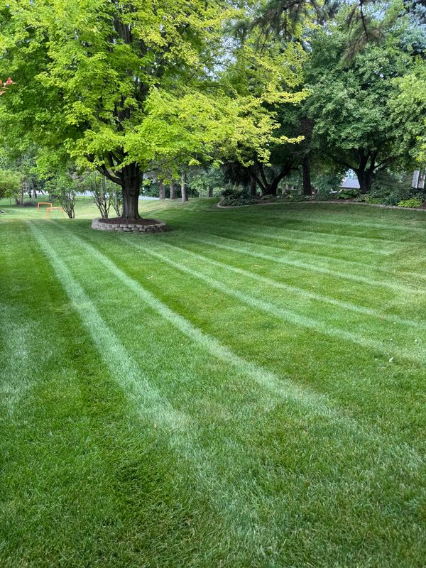 Mowing