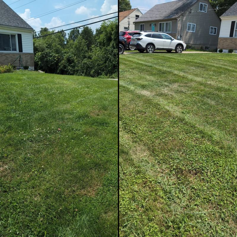 Lawn Maintenance