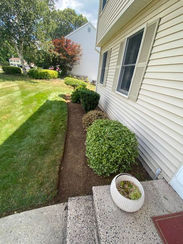 Lawn Maintenance