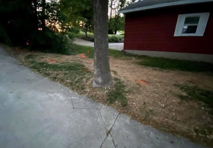 Erosion control / Hydroseeding gallery