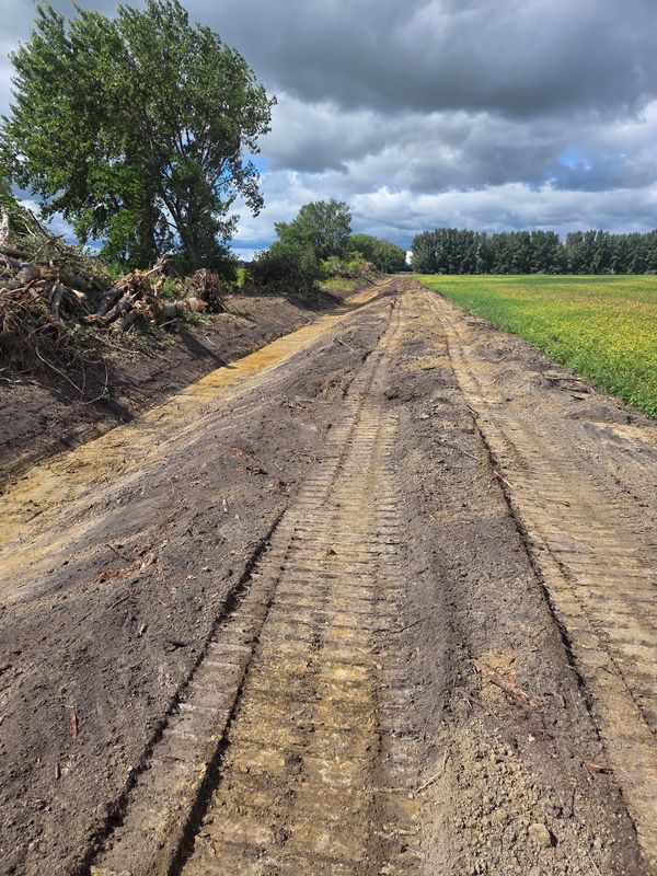 Debris Removal