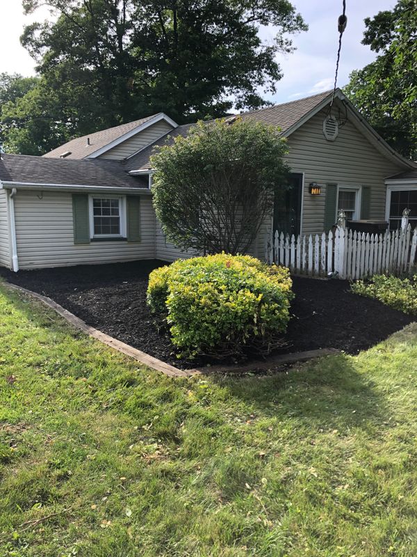 Shrub Trimming