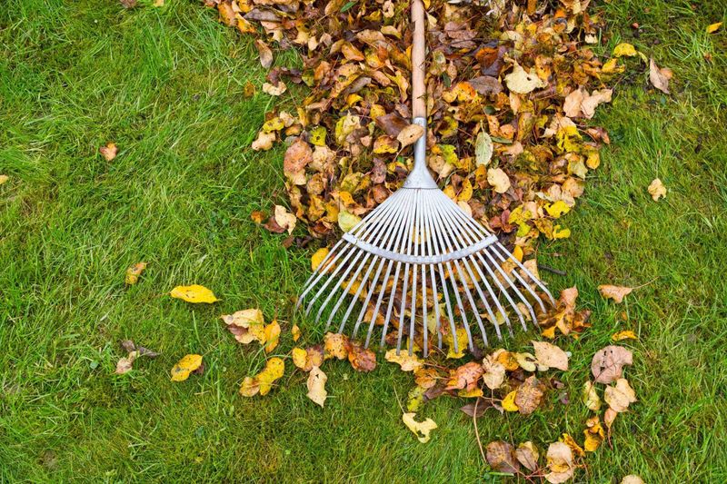 Hardscaping Landscaping