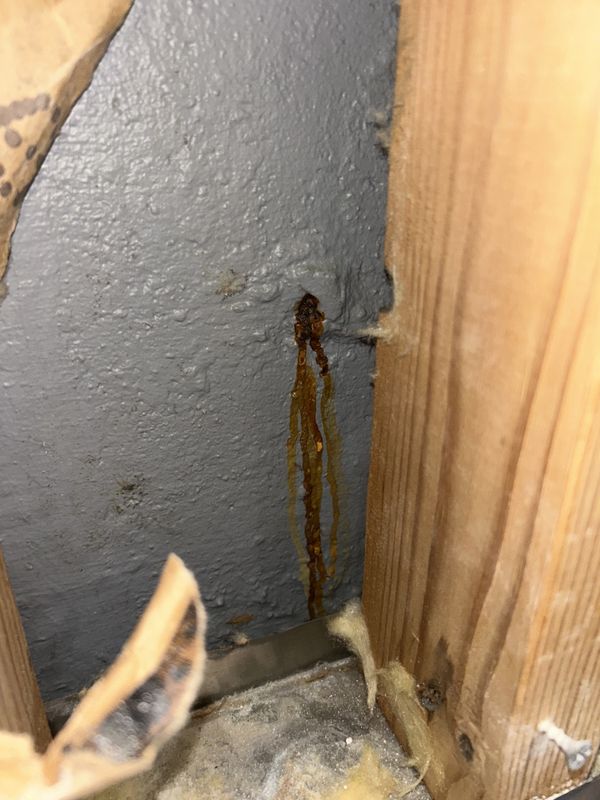 Foundation Crack Repair And Injections