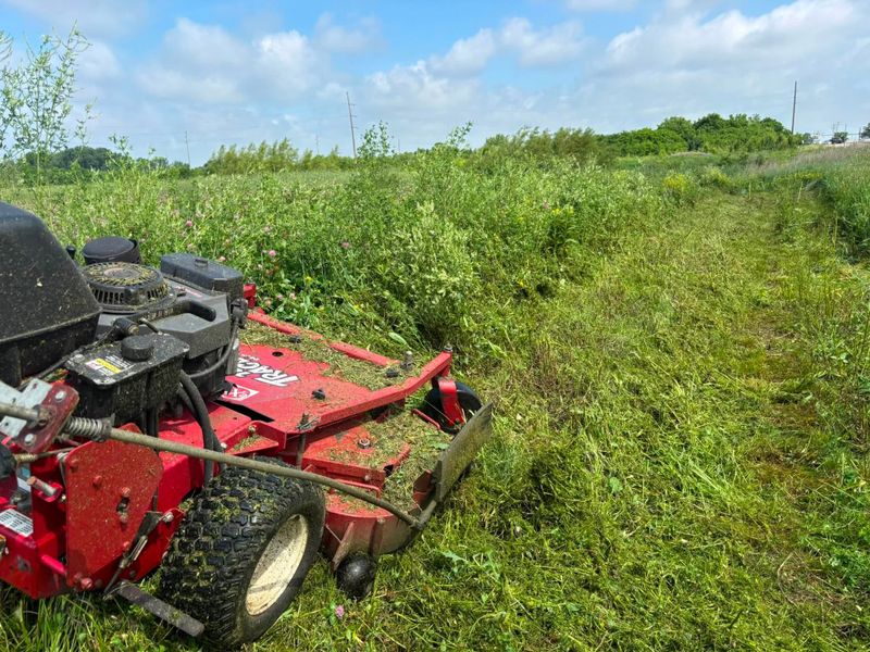 Field Mowing