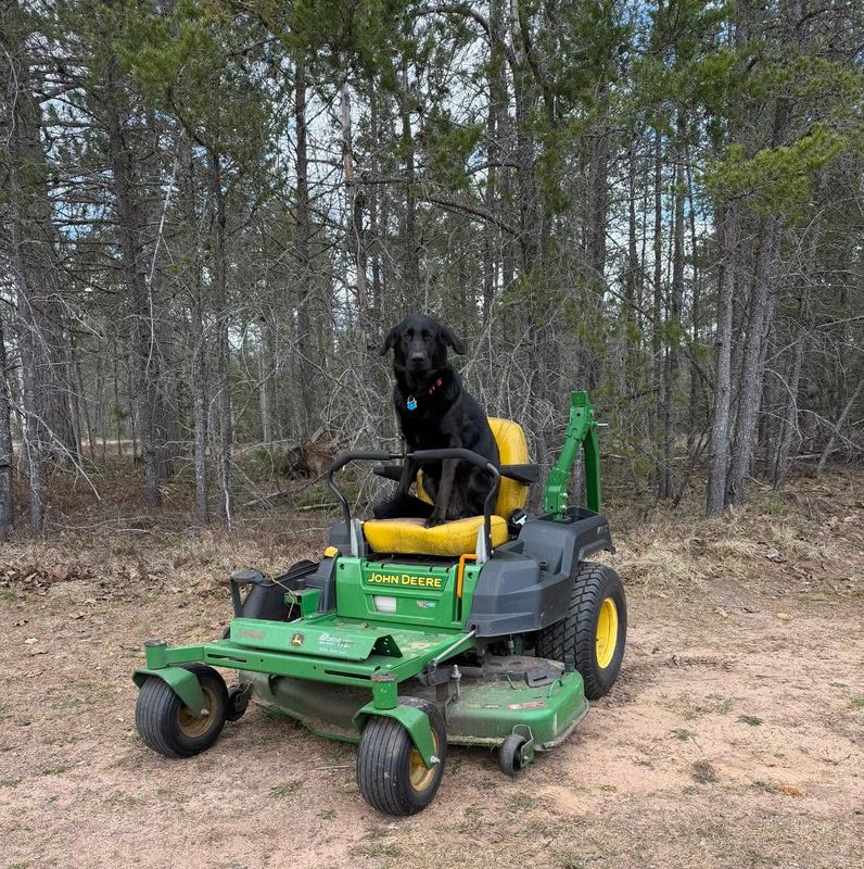 Lawn Maintenance