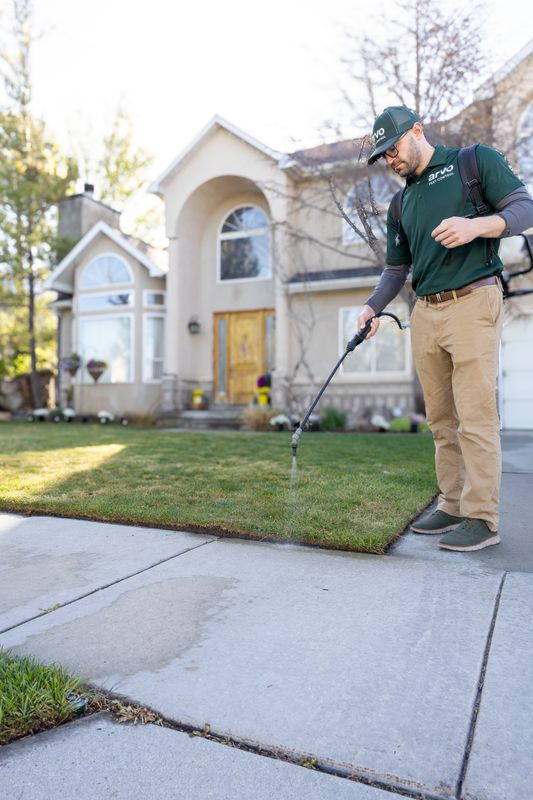 Mosquito Control